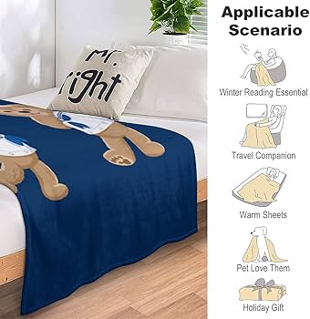 Amazon.co.jp: Duffy Friends Blanket, Stylish, Blanket